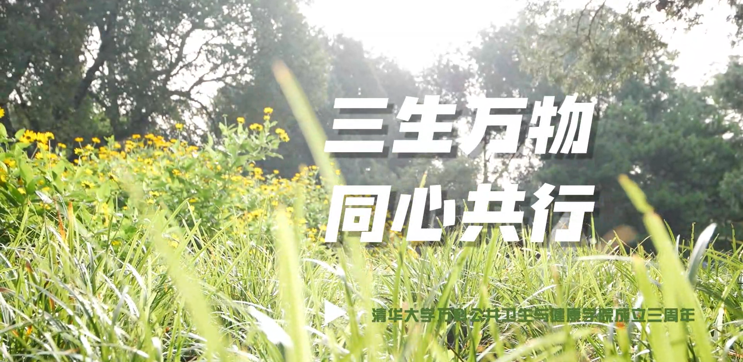 高清无码
成立三周年